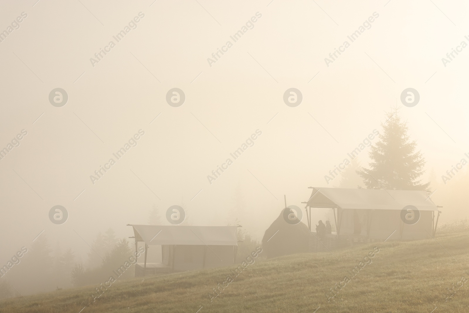 Photo of Houses and trees covered with fog in morning