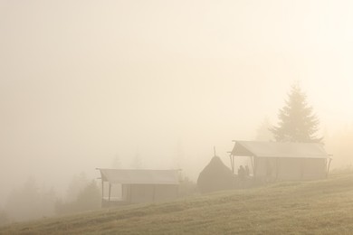 Houses and trees covered with fog in morning