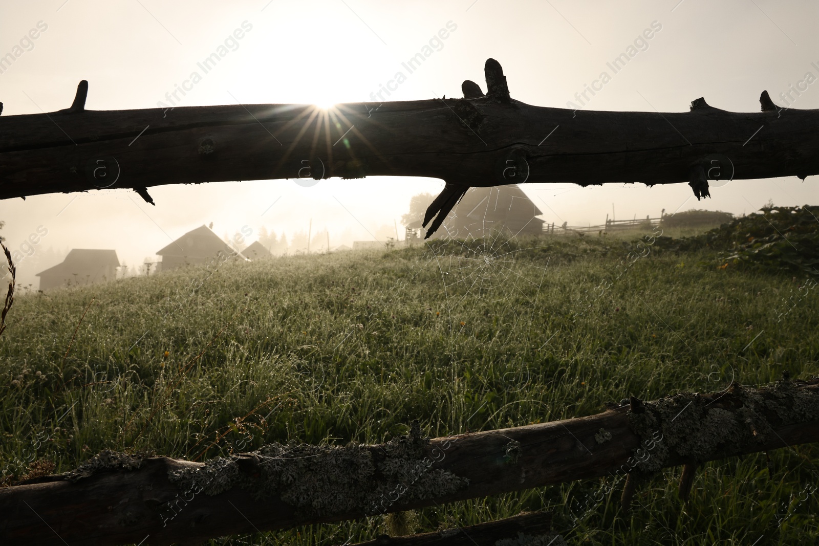 Photo of Cobweb with morning dew drops on wooden fence outdoors