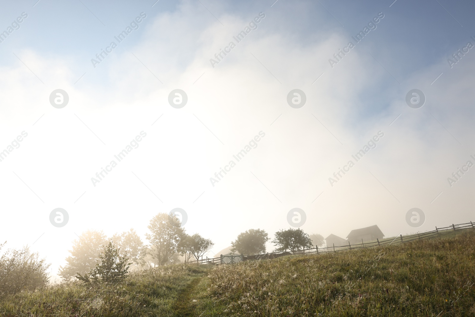 Photo of Beautiful view of houses and trees covered with fog in morning