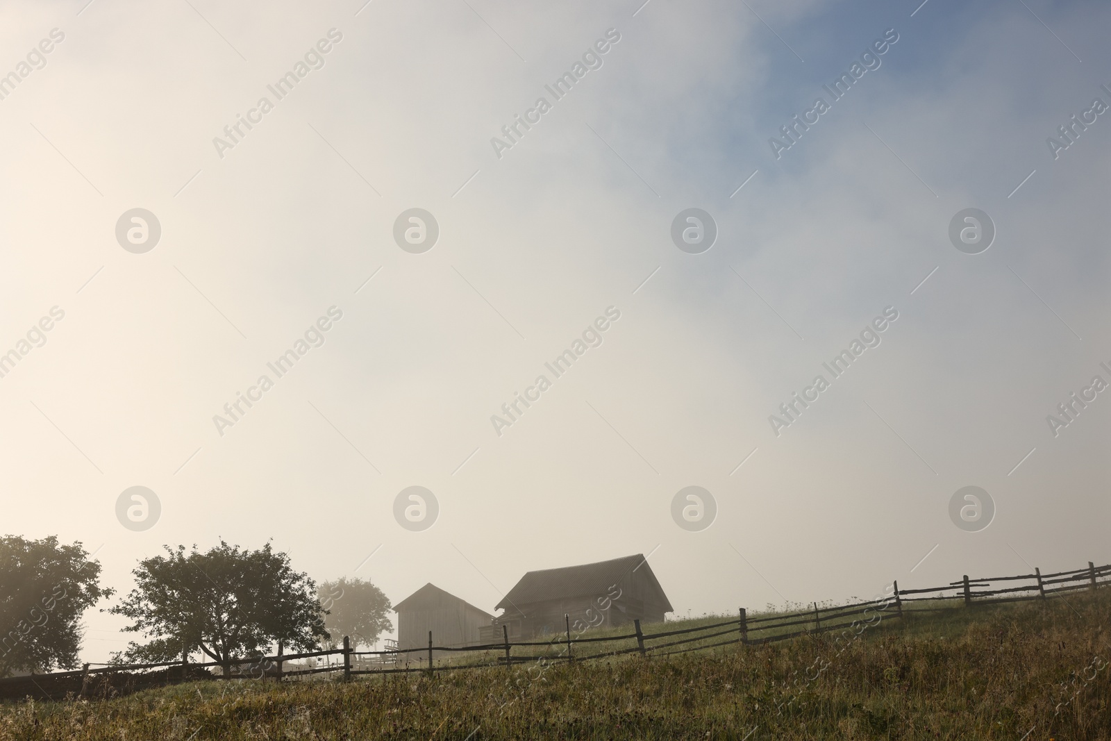 Photo of Beautiful view of houses and trees covered with fog in morning