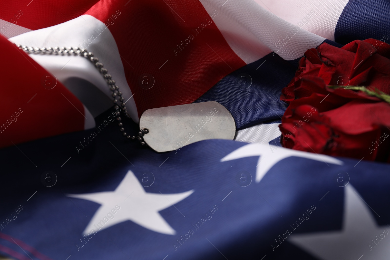 Photo of Veterans day. Army token, American flag and roses, closeup