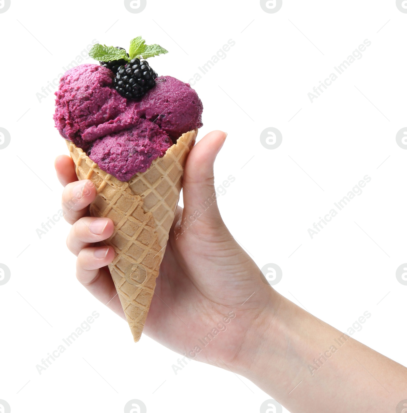 Photo of Woman holding wafer cone with delicious blackberry sorbet on white background, closeup