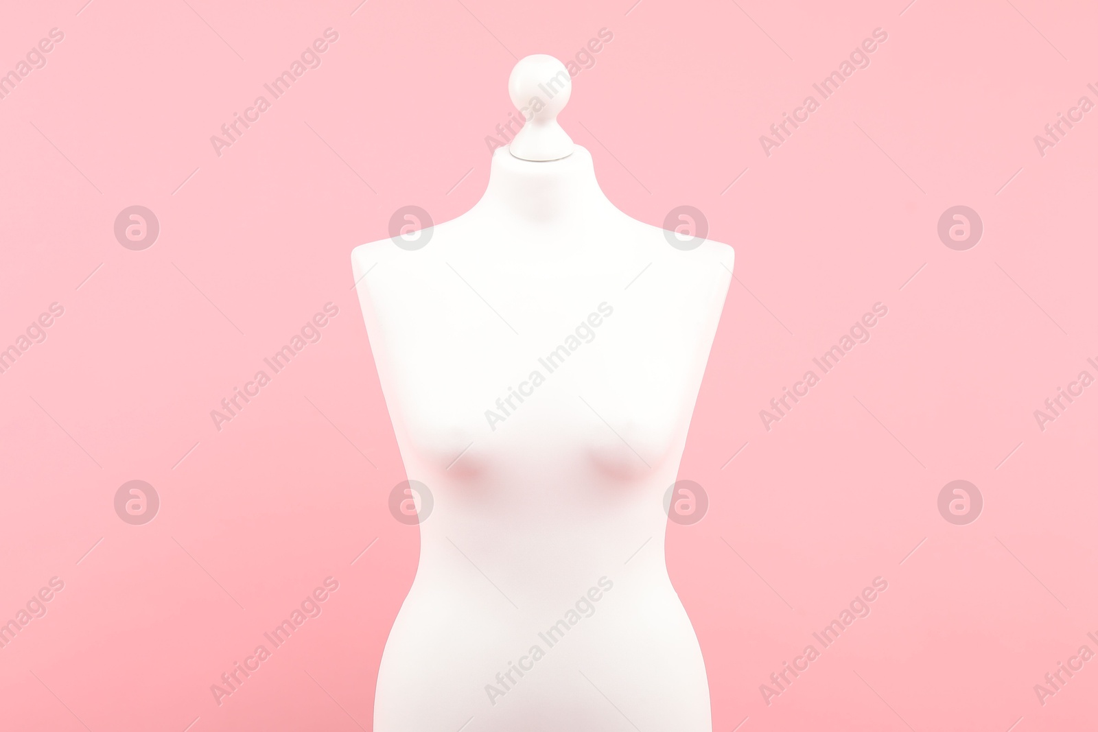 Photo of One stylish female mannequin on pink background