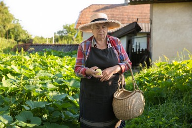 Senior farmer with wicker basket in garden