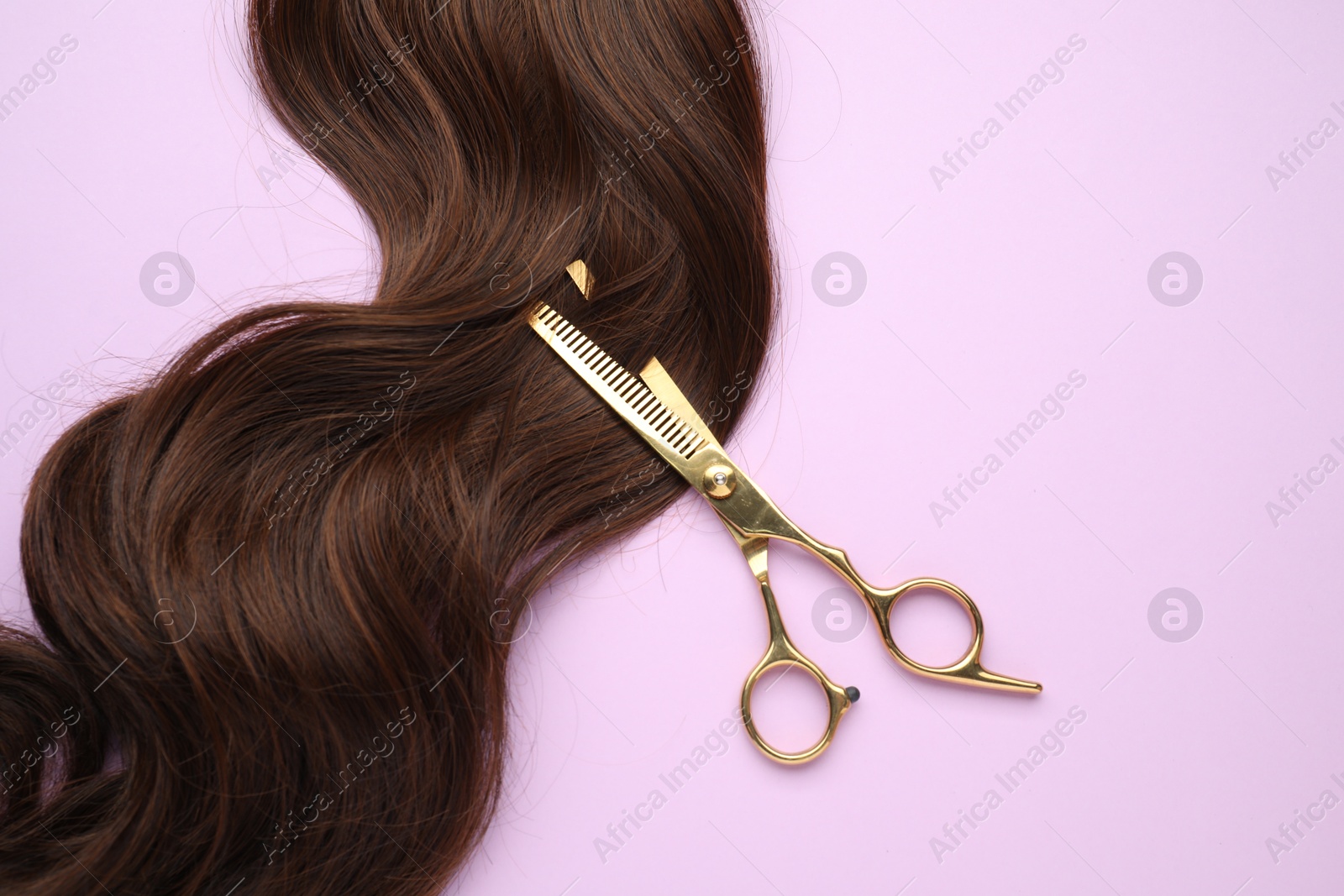 Photo of Brown hair strand and professional scissors on violet background, top view