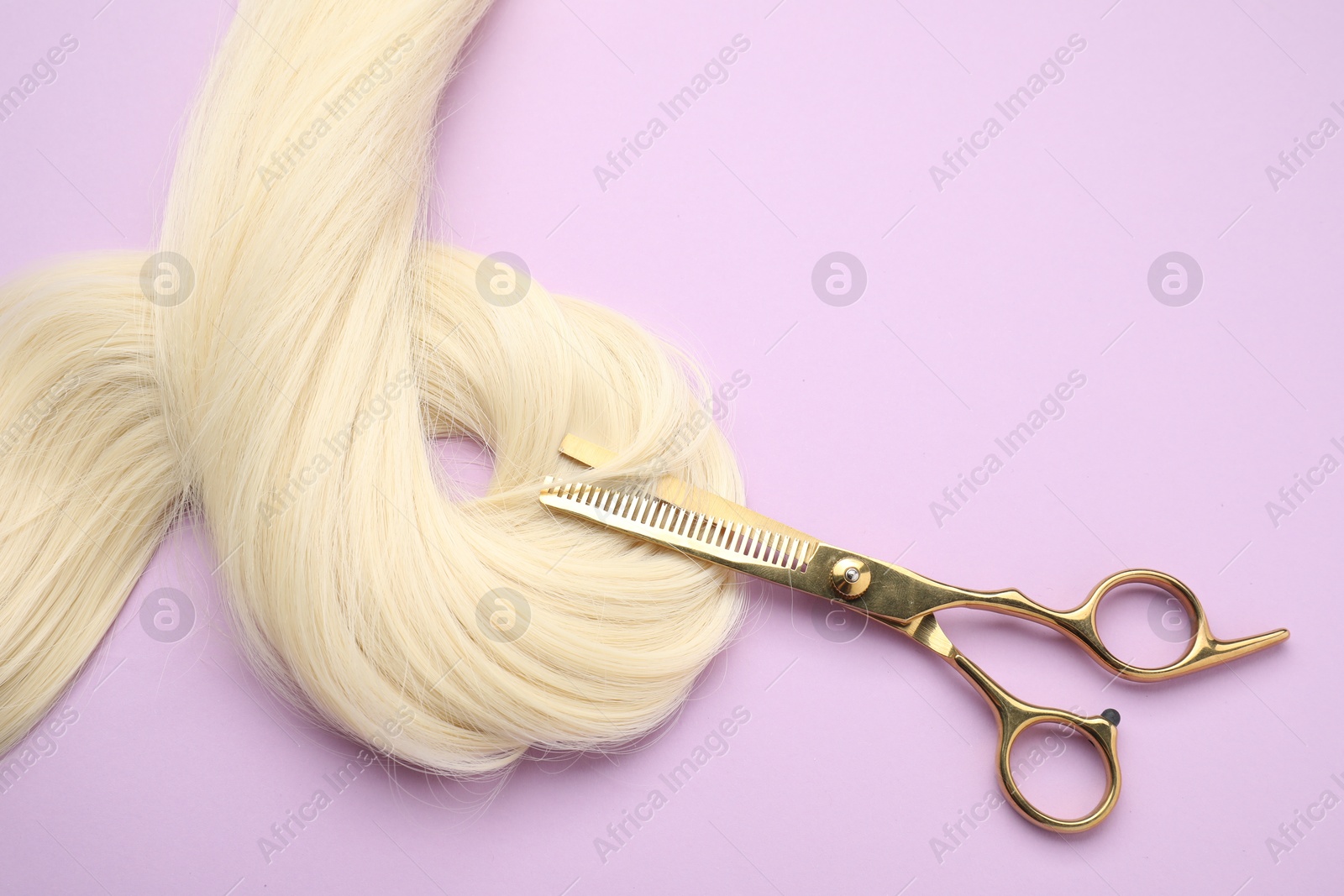 Photo of Blonde hair strand and professional scissors on violet background, top view