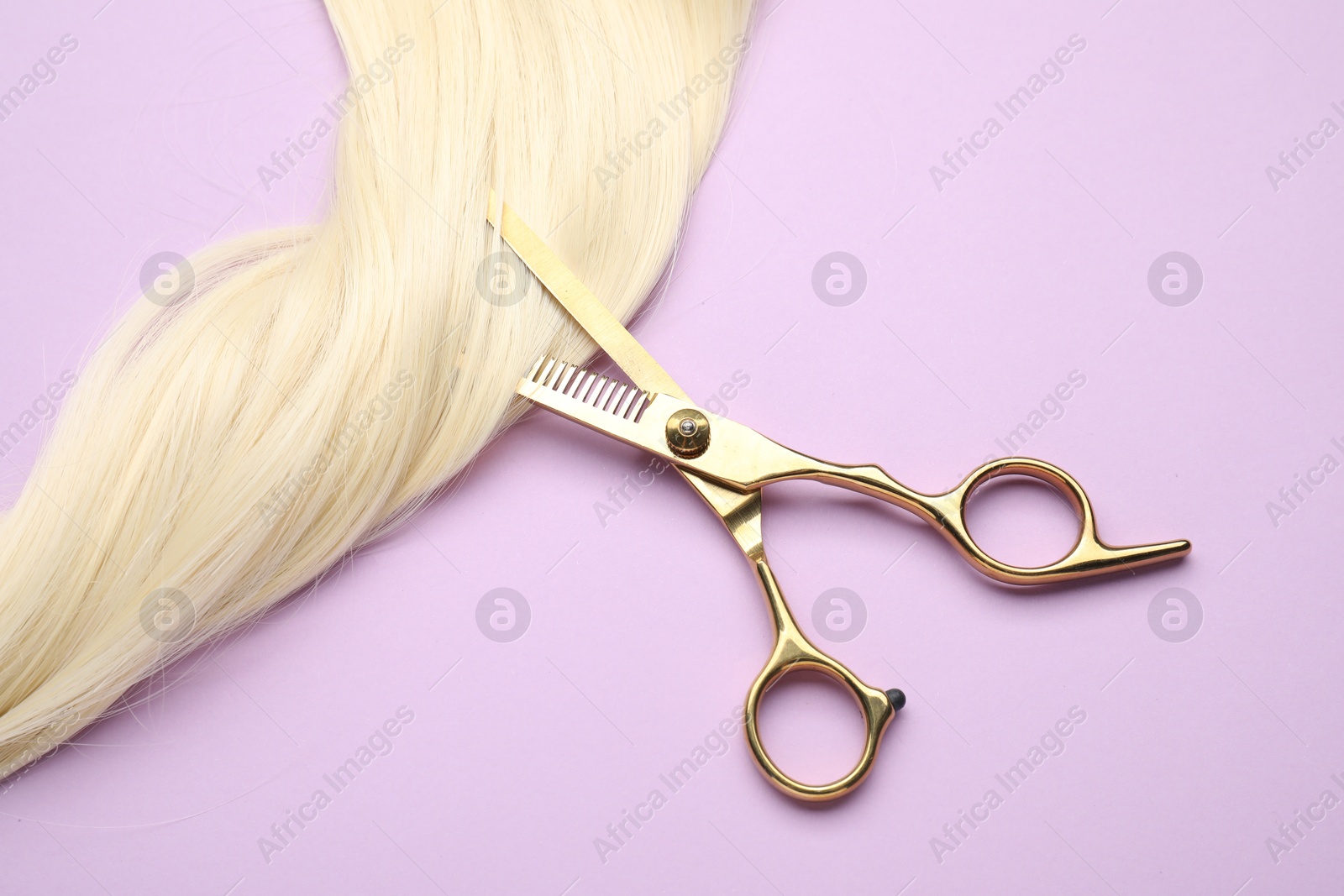 Photo of Blonde hair strand and professional scissors on violet background, top view