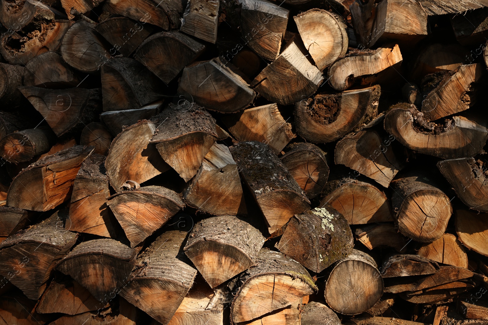 Photo of Pile of cut firewood as background, closeup