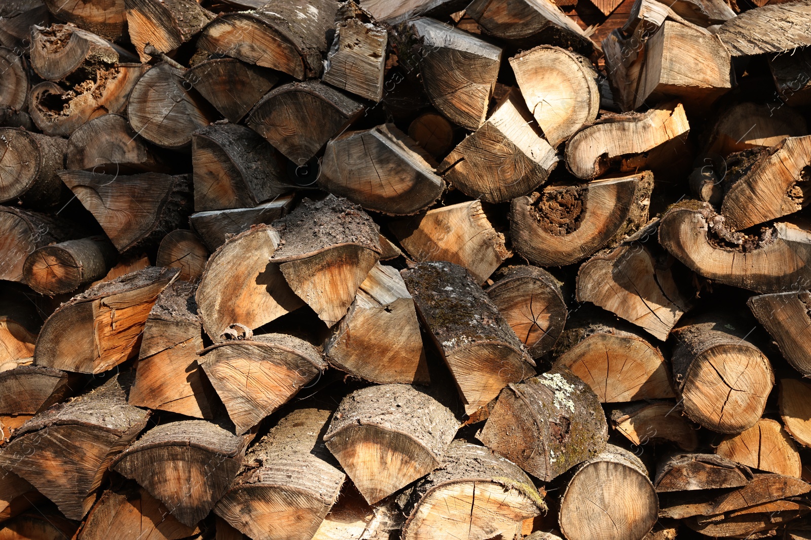 Photo of Pile of cut firewood as background, closeup