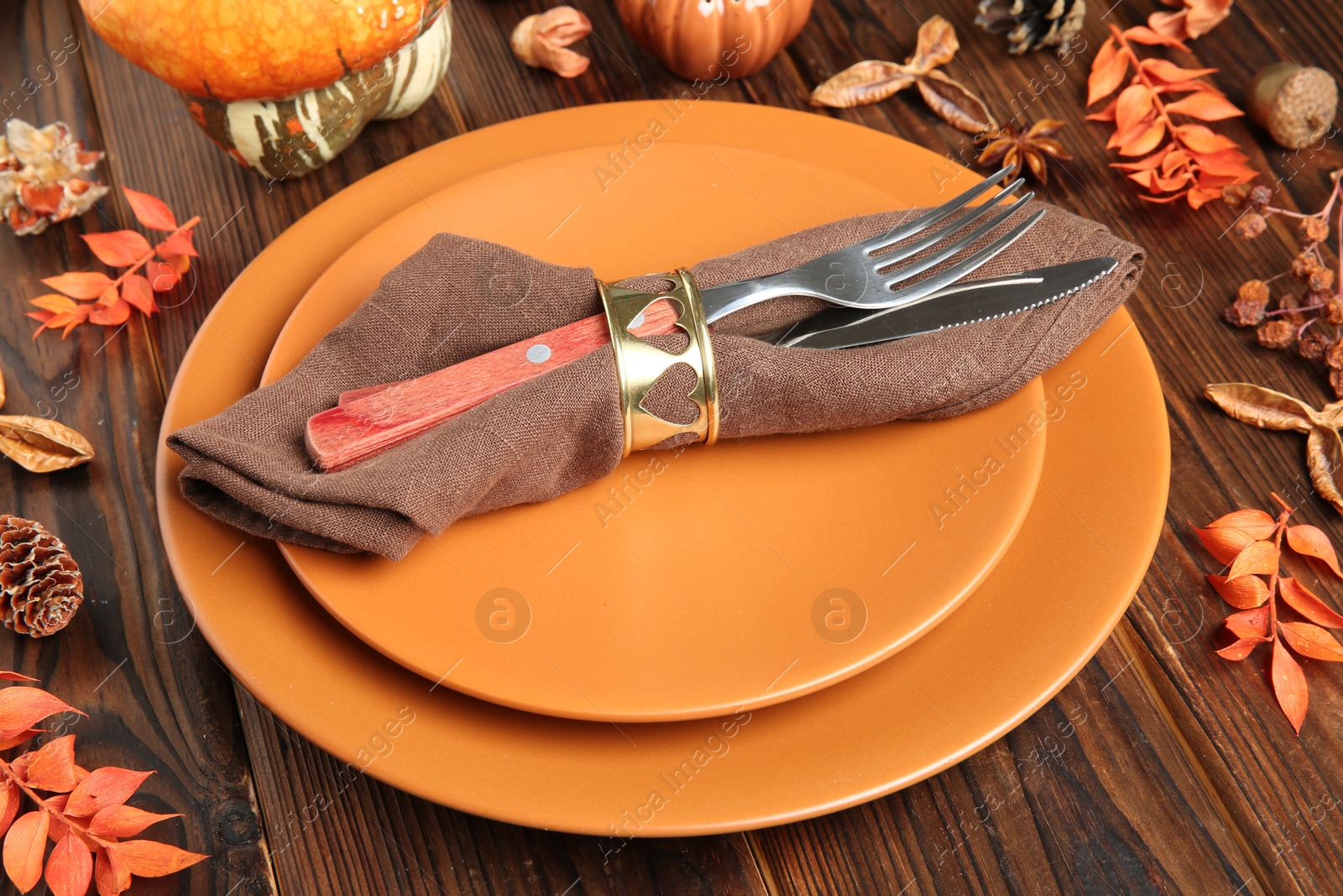 Photo of Stylish place setting with autumn decor on wooden table, closeup