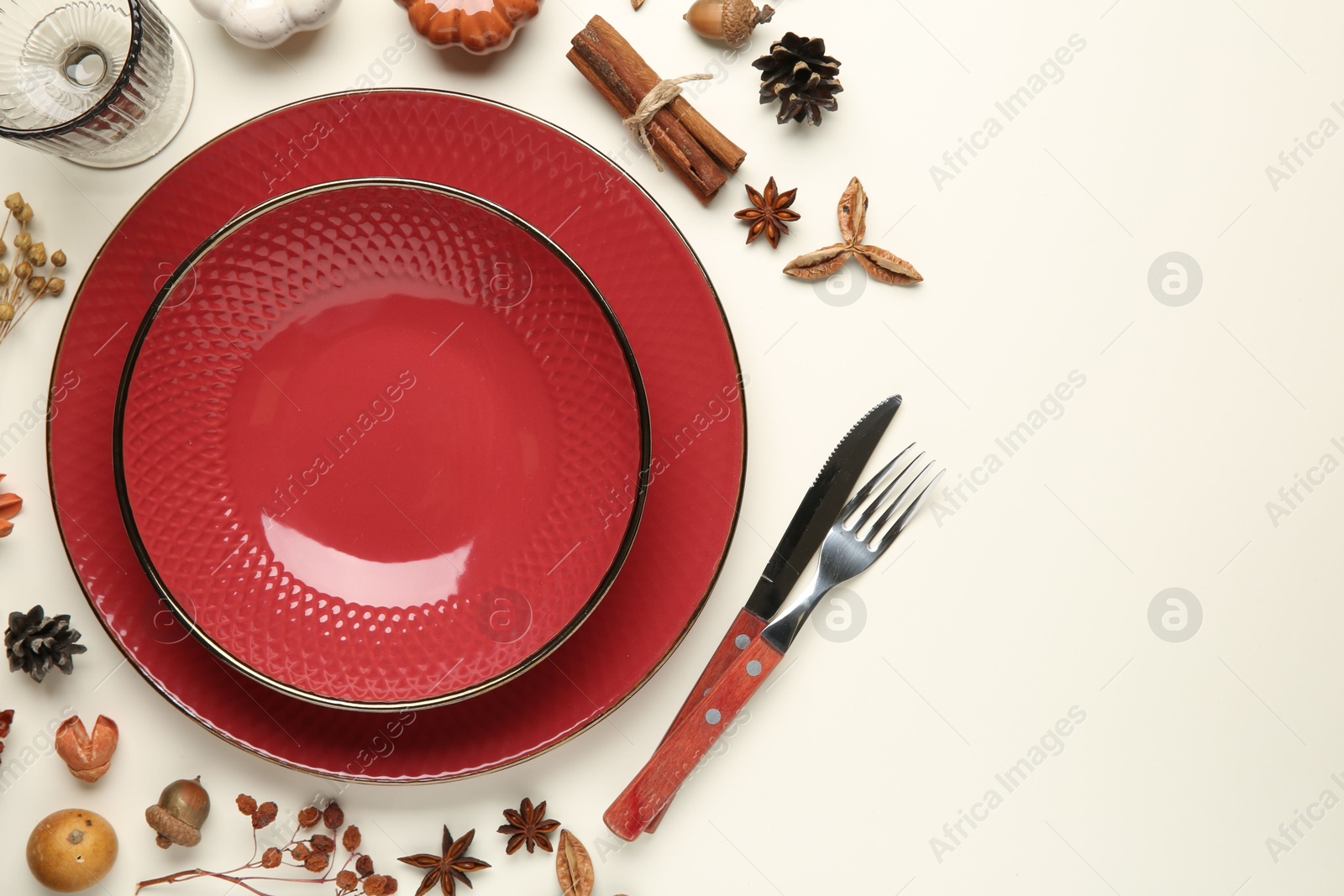 Photo of Stylish table setting and autumn decor on white background. Space for text