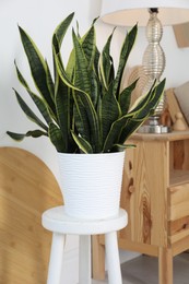 Photo of Stool, lamp and potted houseplant at home