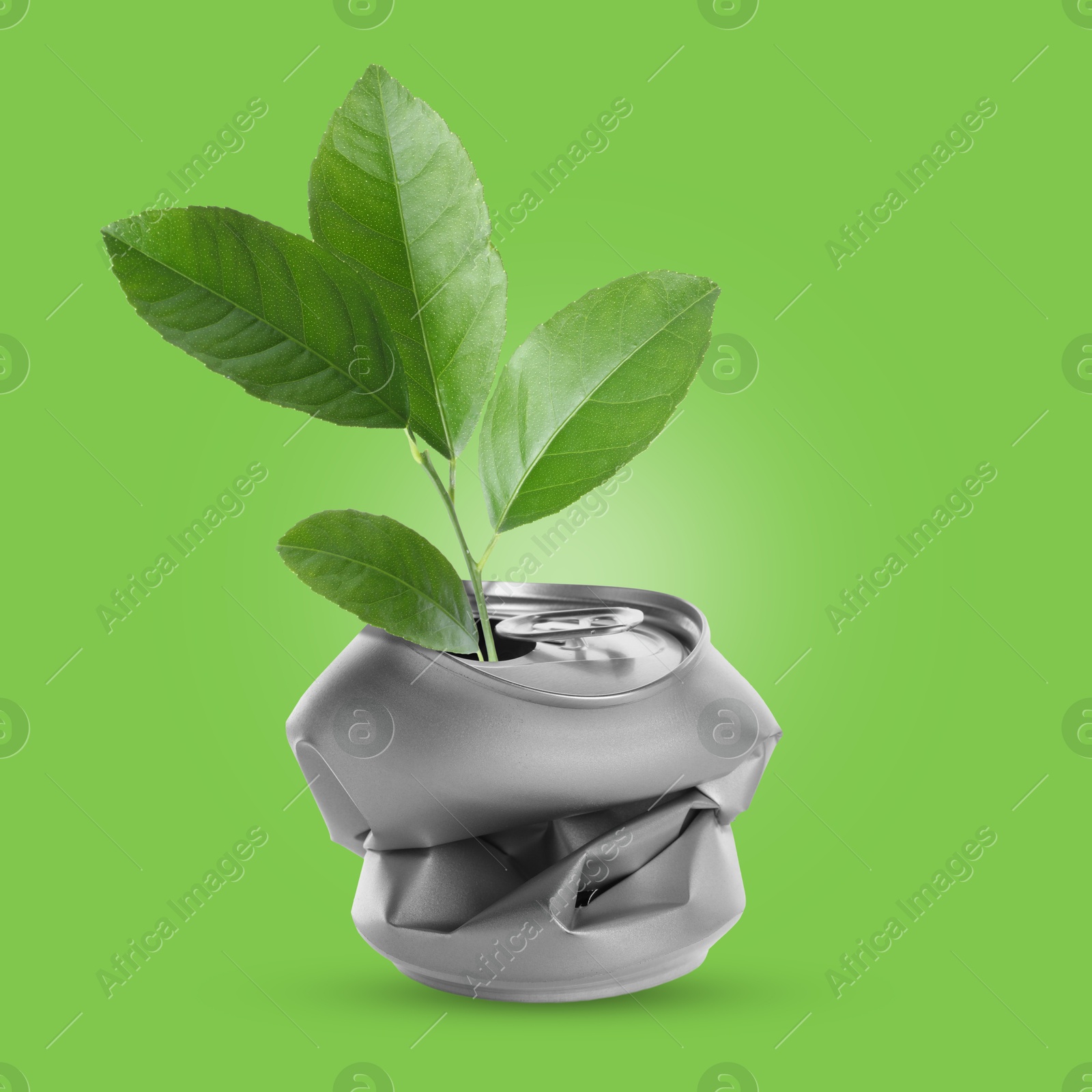 Image of Seedling growing from crumpled can on green background. Recycling