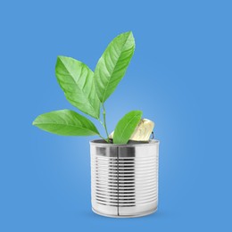 Seedling with green leaves growing from tin can on blue background. Recycling