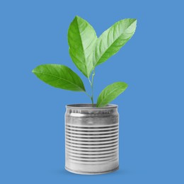 Seedling with green leaves growing from tin can on blue background. Recycling