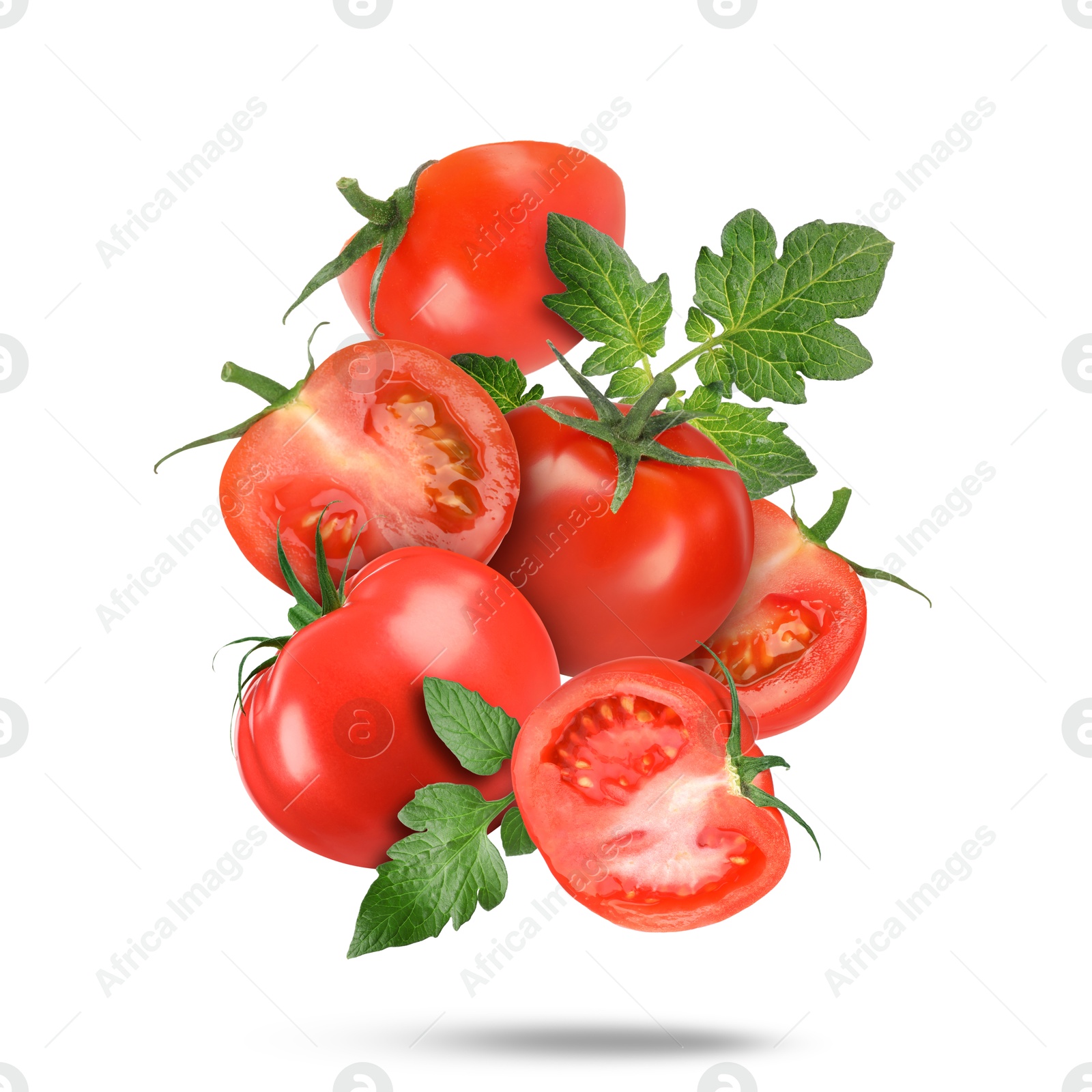 Image of Fresh tomatoes with green leaves falling on white background