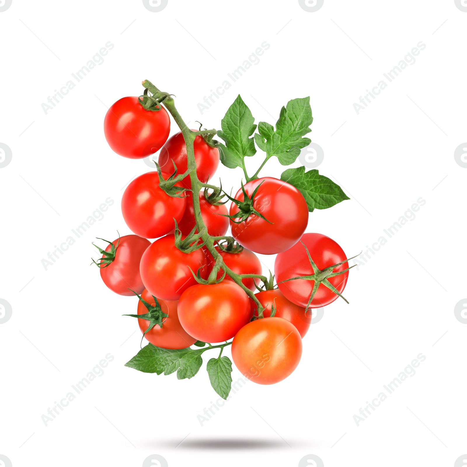 Image of Fresh tomatoes with green leaves falling on white background