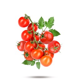 Image of Fresh tomatoes with green leaves falling on white background