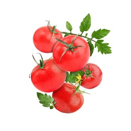 Image of Fresh tomatoes with green leaves in air on white background