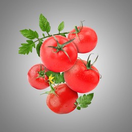 Image of Fresh tomatoes with green leaves in air on grey background