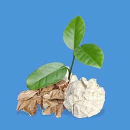 Seedling with green leaves growing from crumpled paper balls on blue background. Recycling