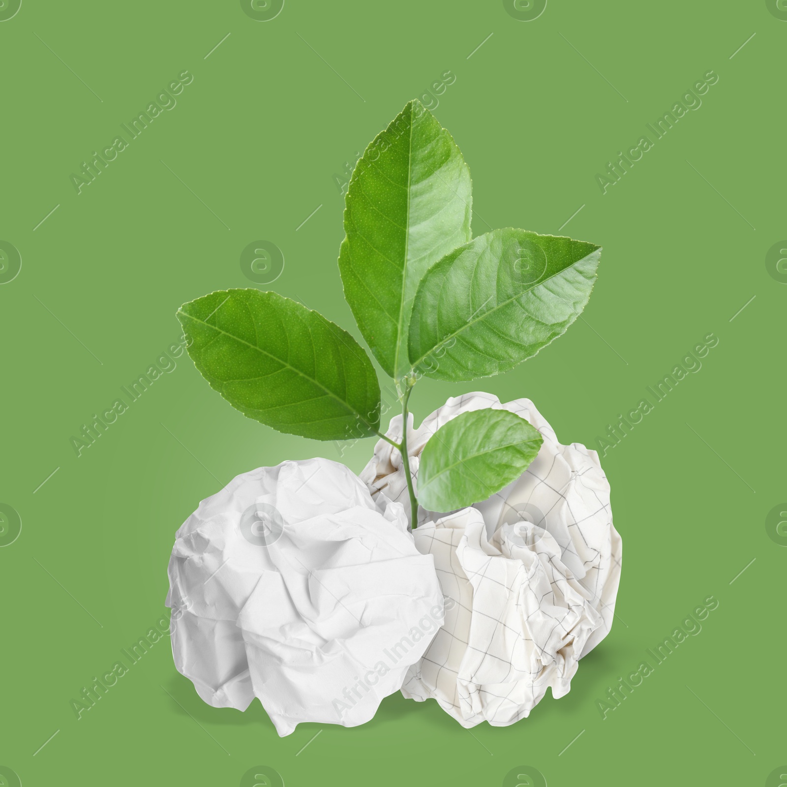 Image of Seedling with leaves growing from crumpled paper balls on green background. Recycling