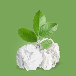 Image of Seedling with leaves growing from crumpled paper balls on green background. Recycling