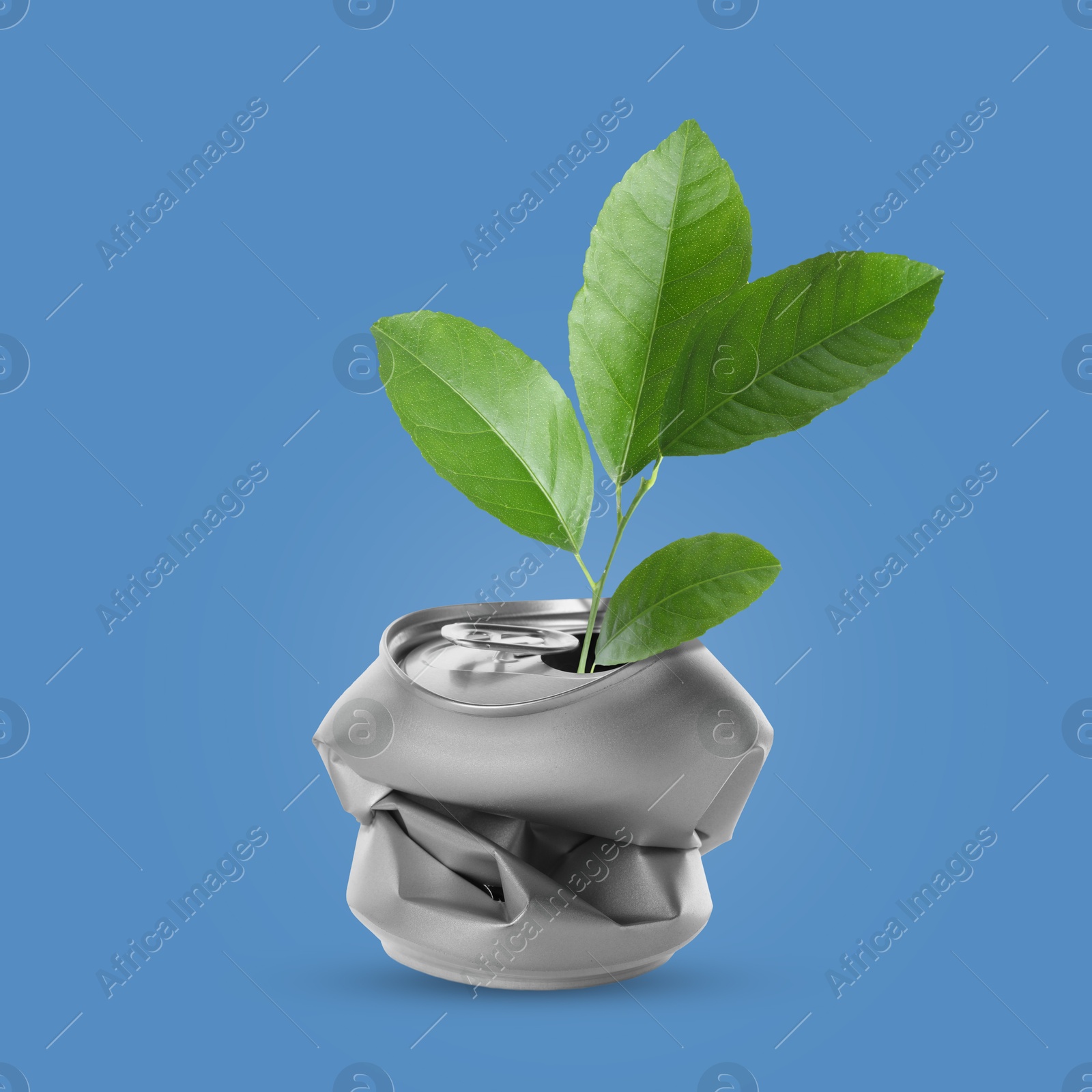 Image of Seedling with green leaves growing from crumpled can on blue background. Recycling