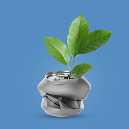 Seedling with green leaves growing from crumpled can on blue background. Recycling