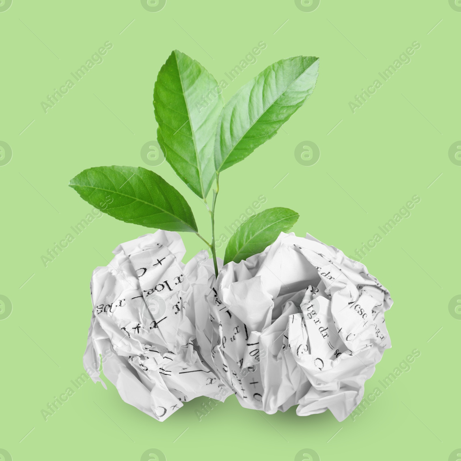 Image of Seedling with leaves growing from crumpled paper balls on light green background. Recycling