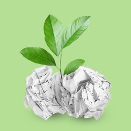 Image of Seedling with leaves growing from crumpled paper balls on light green background. Recycling