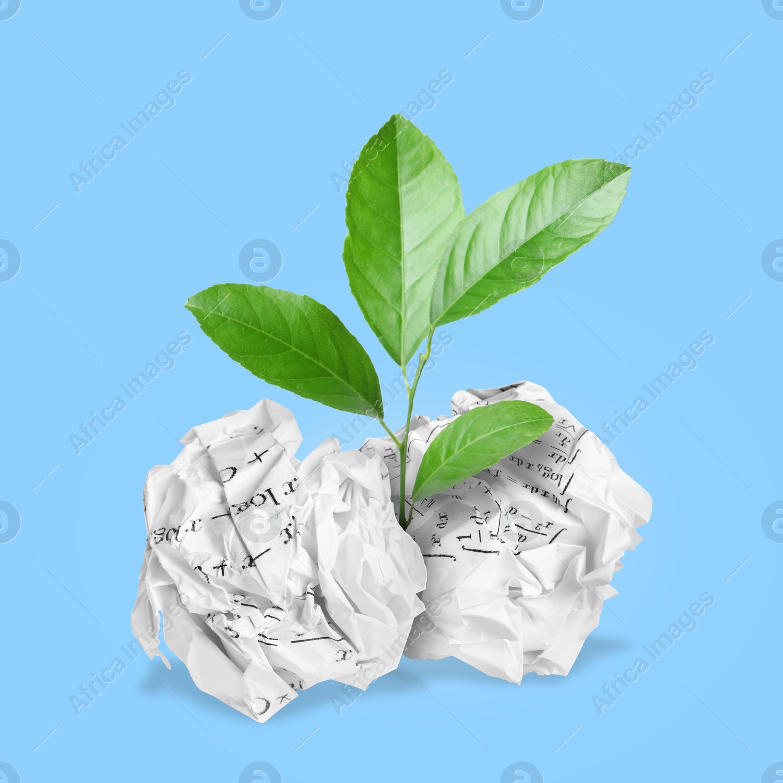 Image of Seedling with green leaves growing from crumpled paper balls on light blue background. Recycling