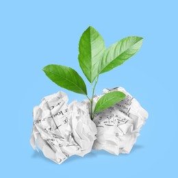 Image of Seedling with green leaves growing from crumpled paper balls on light blue background. Recycling