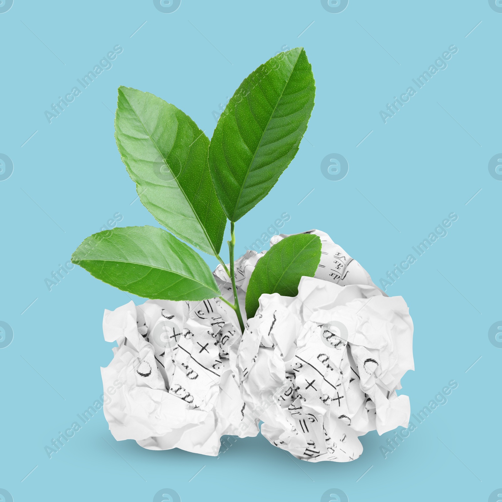 Image of Seedling with green leaves growing from crumpled paper balls on light blue background. Recycling