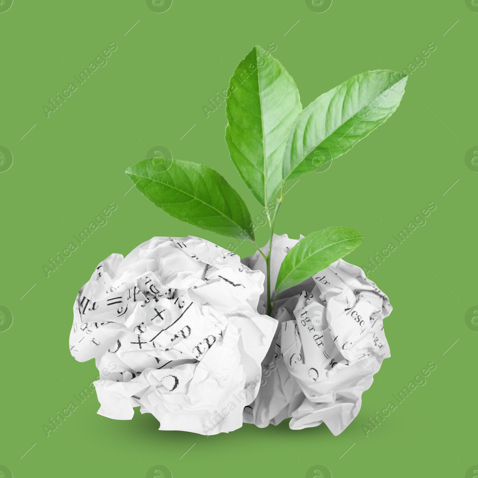 Image of Seedling with leaves growing from crumpled paper balls on green background. Recycling