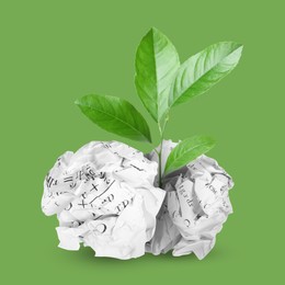 Image of Seedling with leaves growing from crumpled paper balls on green background. Recycling