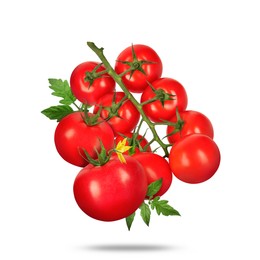 Image of Fresh tomatoes with green leaves falling on white background