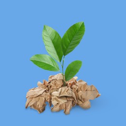 Image of Seedling with green leaves growing from crumpled paper on blue background. Recycling