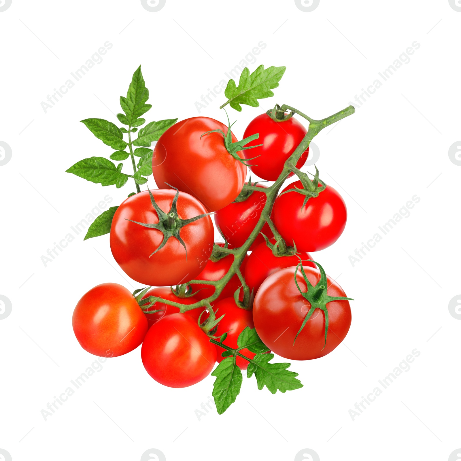 Image of Fresh tomatoes with green leaves in air on white background