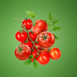 Image of Fresh tomatoes with leaves in air on green background