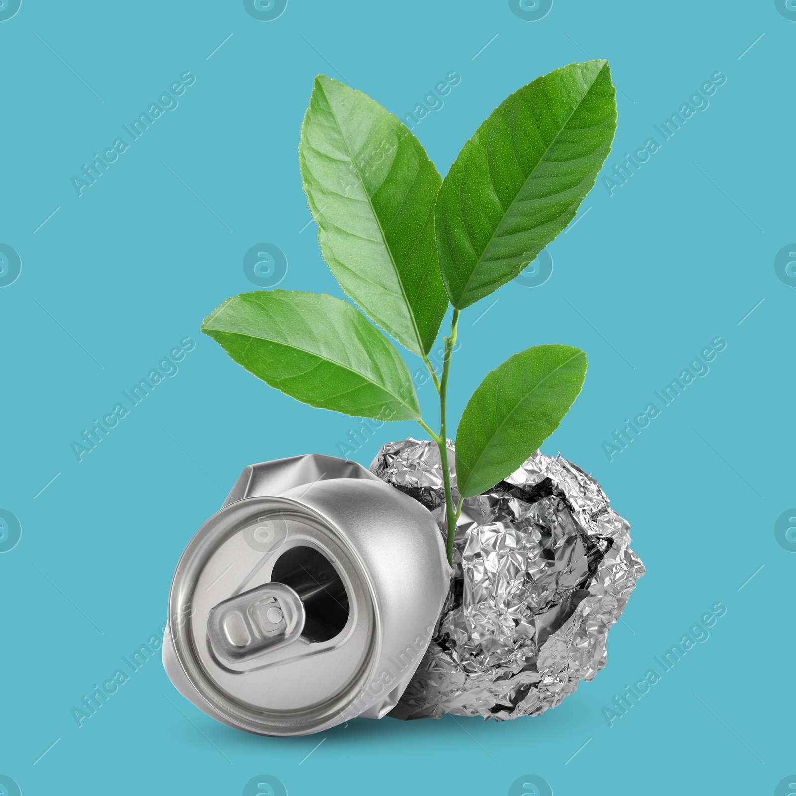 Image of Seedling with leaves growing from crumpled foil ball and can on light blue background. Recycling