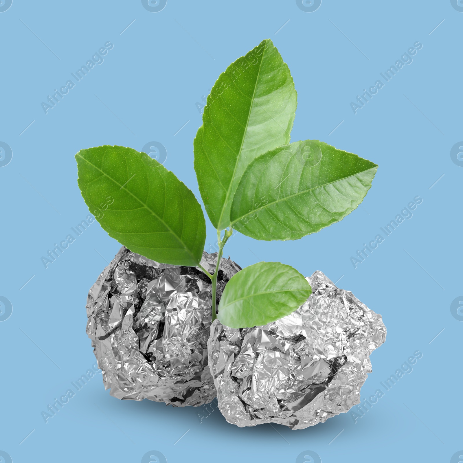 Image of Seedling with green leaves growing from crumpled foil balls on light blue background. Recycling