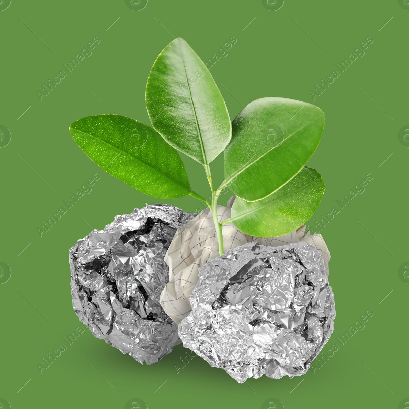 Image of Seedling with leaves growing from crumpled foil balls on green background. Recycling