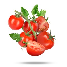 Image of Fresh tomatoes with green leaves falling on white background