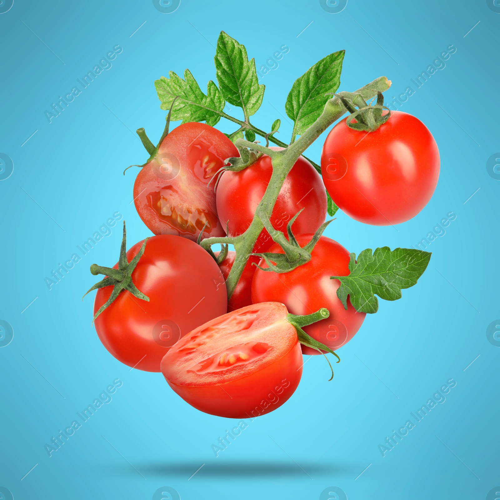 Image of Fresh tomatoes with green leaves falling on light blue background