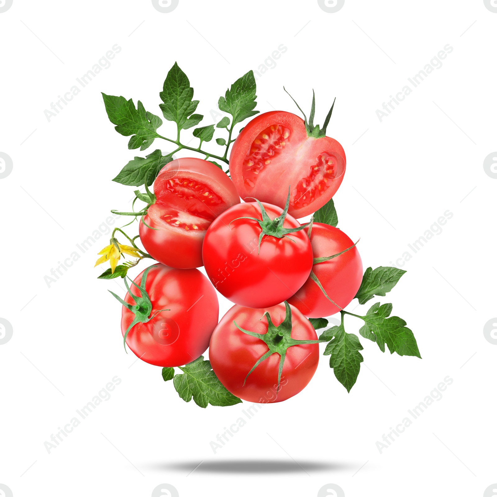 Image of Fresh tomatoes with green leaves falling on white background