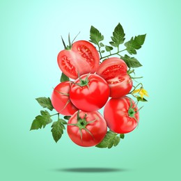 Image of Fresh tomatoes with green leaves falling on turquoise gradient background