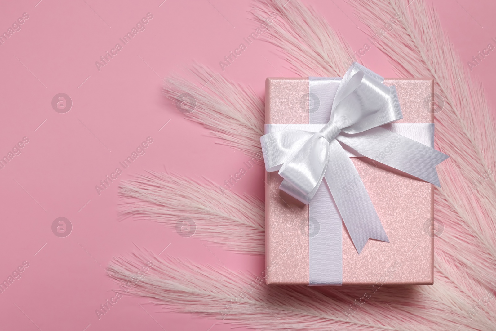 Photo of Gift box with bow and feathers on dusty pink background, top view