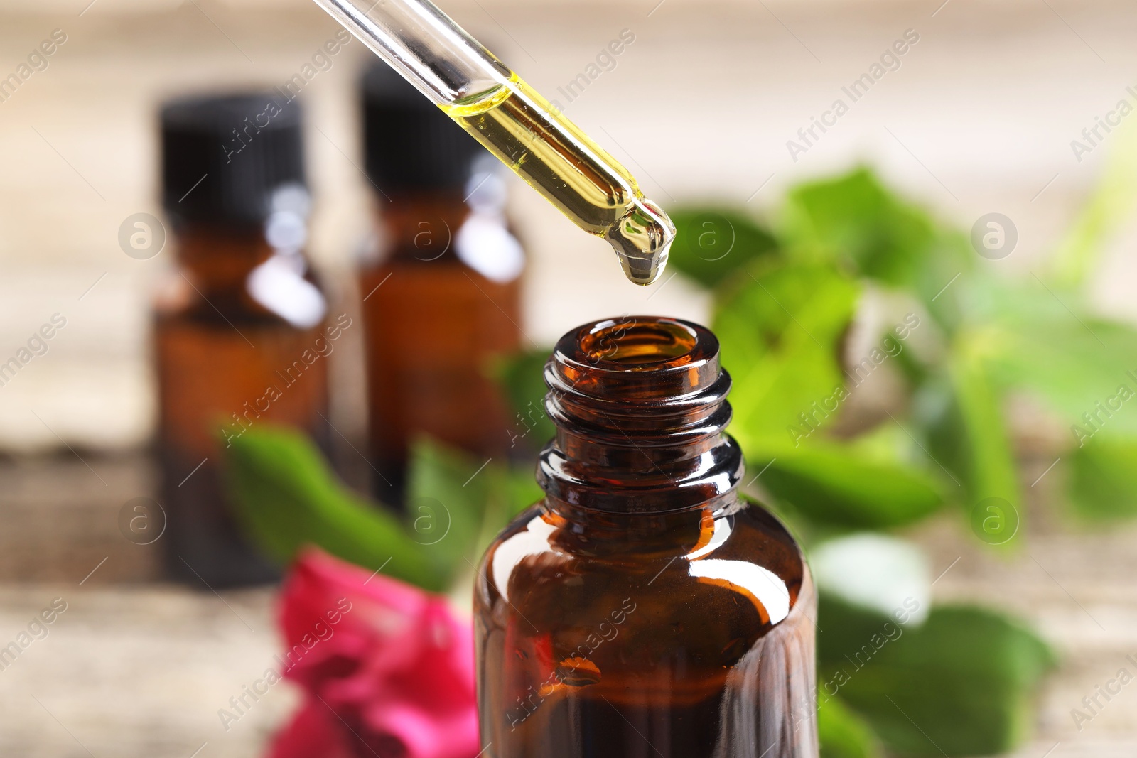 Photo of Essential oil dripping from pipette into bottle at table, closeup